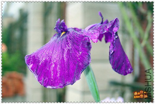 ��Ƭ 085_����.jpg