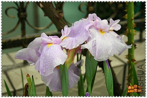 ��Ƭ 088_����.jpg