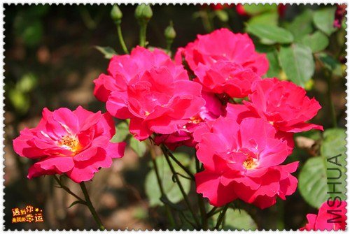 ��Ƭ 057_����.jpg