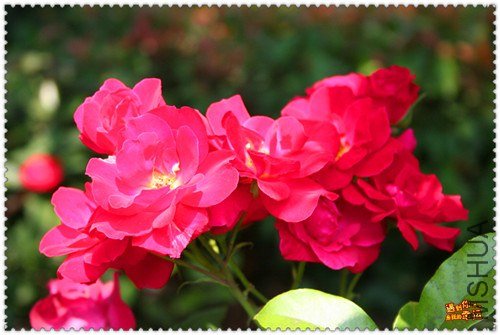 ��Ƭ 059_����.jpg