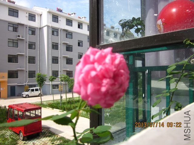 �� ɢ�� 040_1.jpg