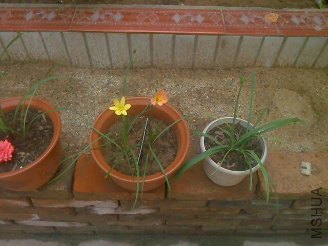 IMG0715100102.jpg