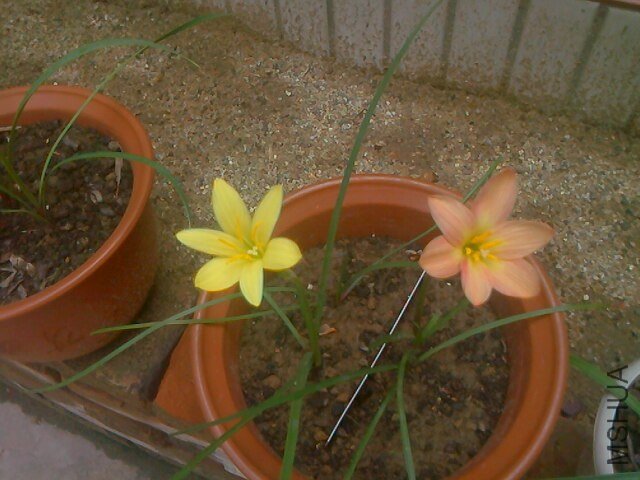 IMG0715100200.jpg