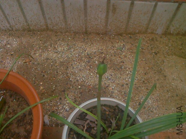 IMG0715100201.jpg