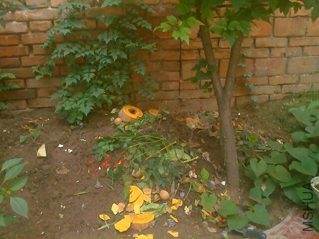 IMG0715100101.jpg