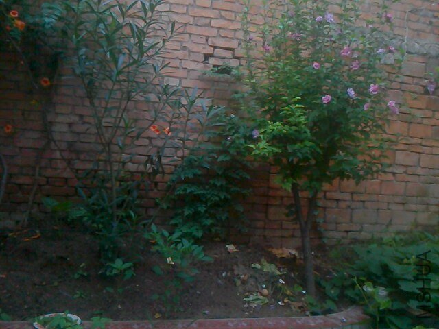 IMG0715055503.jpg