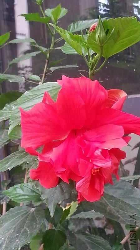 20130714_072142.jpg