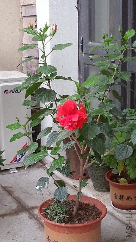 20130714_072647.jpg