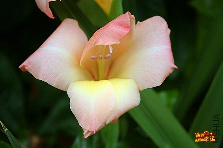 ��Ƭ 005c_����.jpg