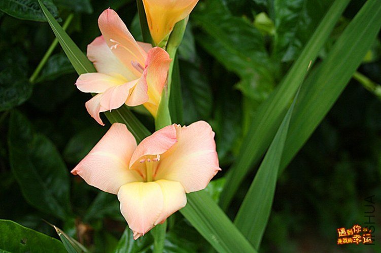 ��Ƭ 005b_����.jpg