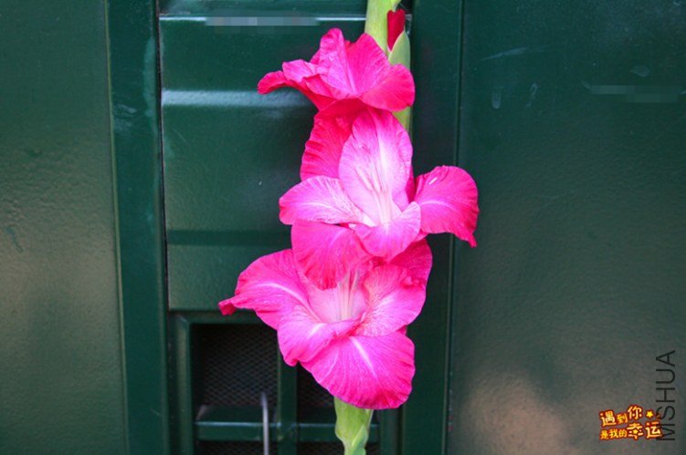 ��Ƭ 002_����.jpg