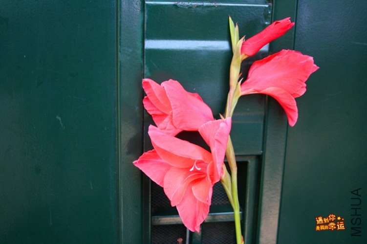 ��Ƭ 006_����.jpg