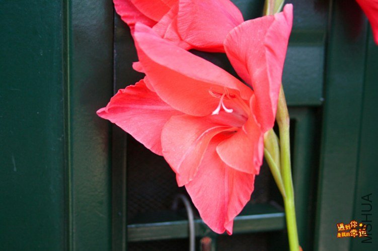 ��Ƭ 007_����.jpg