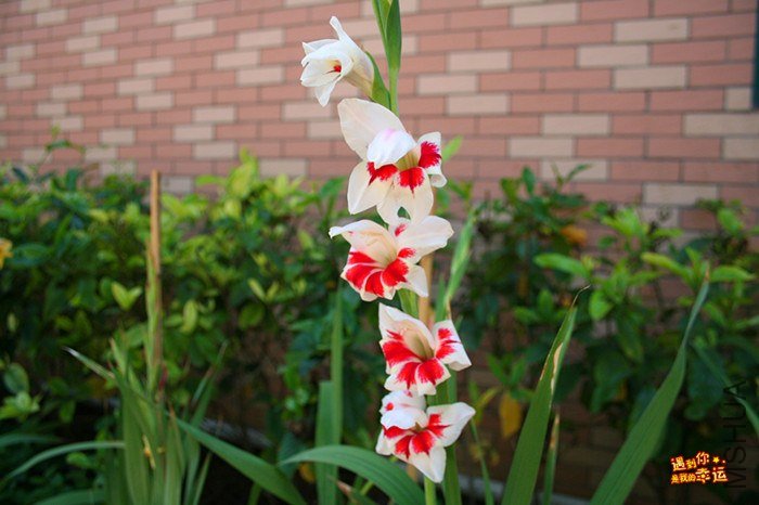 ��Ƭ 115_����.jpg