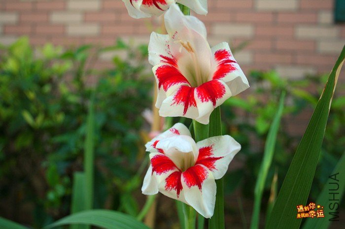 ��Ƭ 117_����.jpg