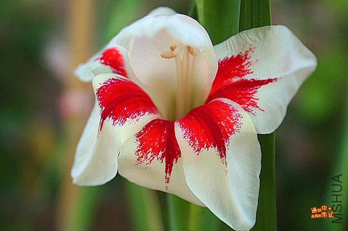 ��Ƭ 119_����.jpg