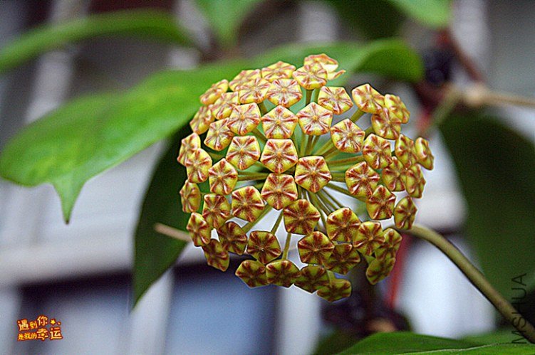 ��Ƭ 001_����.jpg