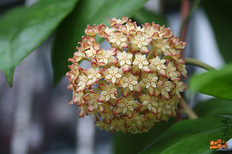 ��Ƭ 006_����.jpg