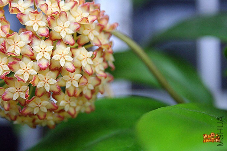 ��Ƭ 007_����.jpg