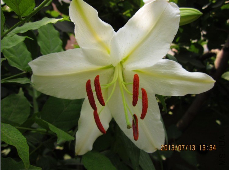 QQͼƬ20130715180709.jpg
