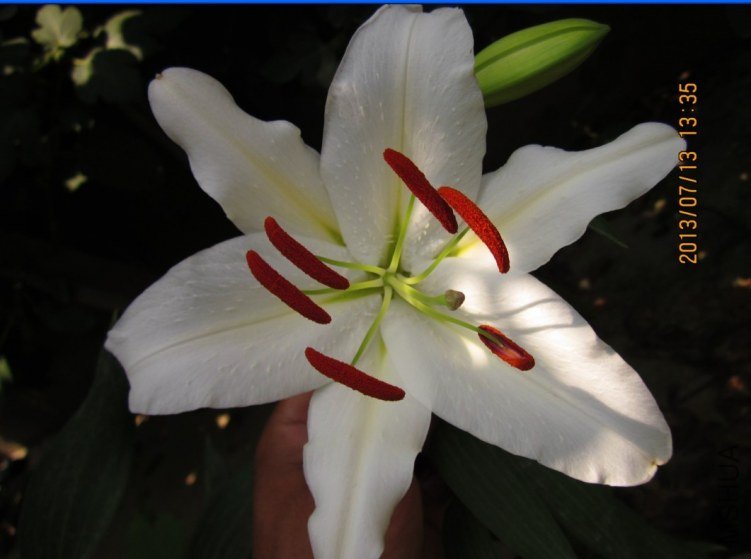 QQͼƬ20130715180729.jpg