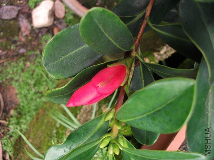 DSCF6448_����.jpg