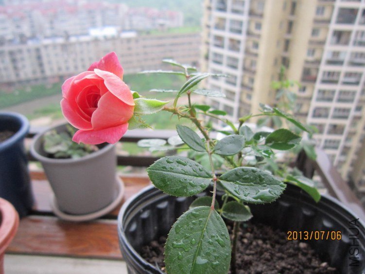 IMG_1883.JPG