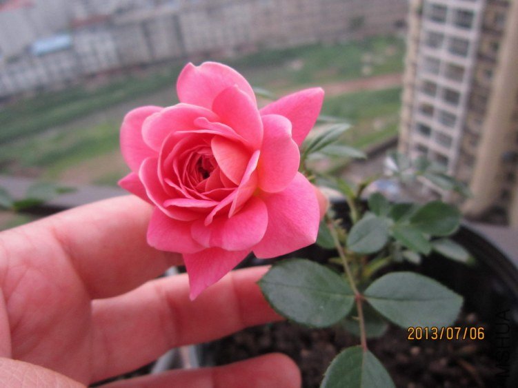 IMG_1886.JPG