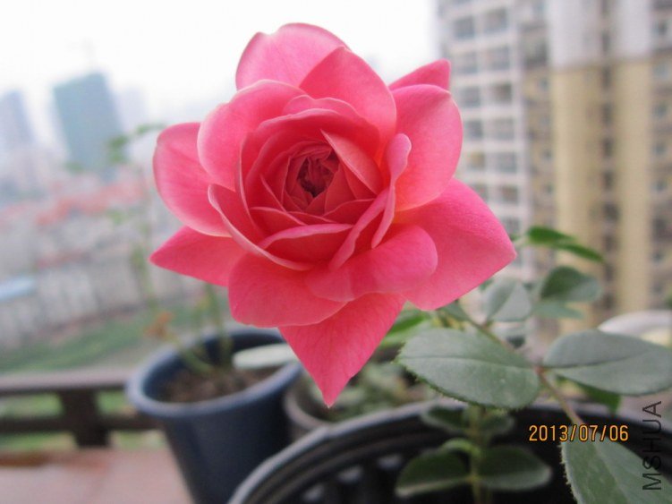IMG_1889.JPG