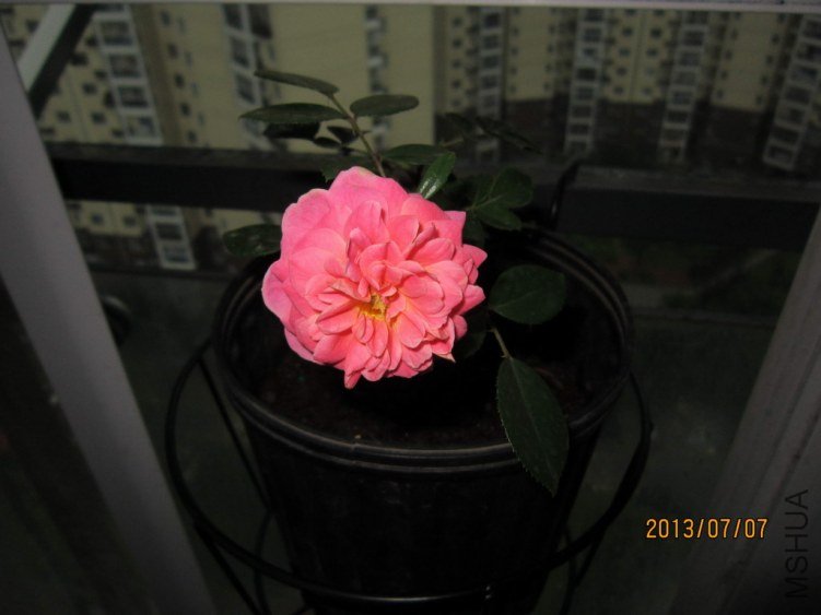 IMG_1891.JPG