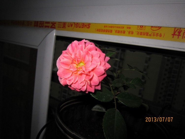 IMG_1893.JPG
