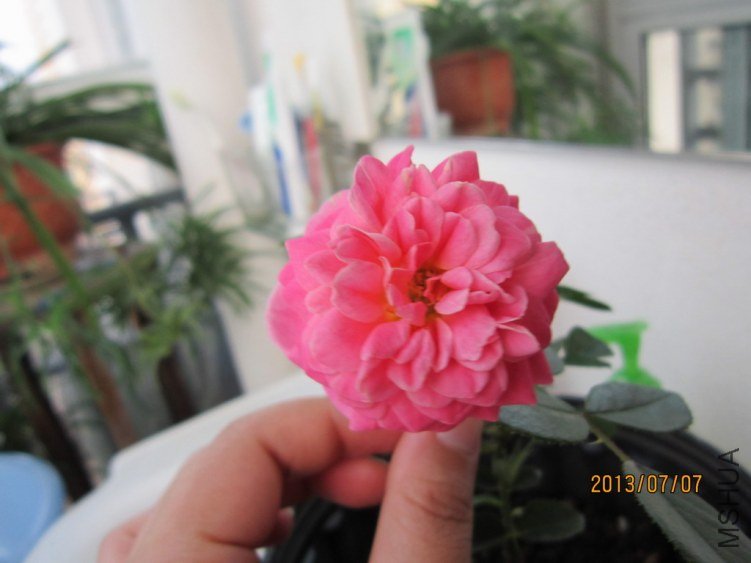 IMG_1900.JPG