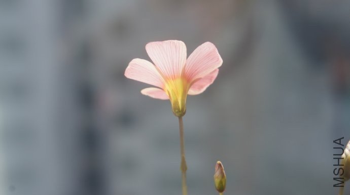 6a40edb9te0ae727a34b6&amp;690.jpg