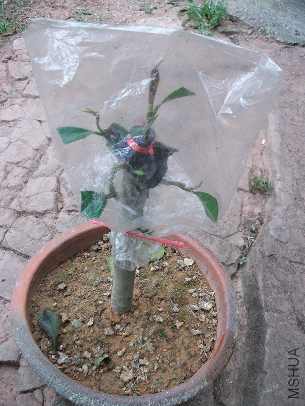 DSCF6502_����.jpg