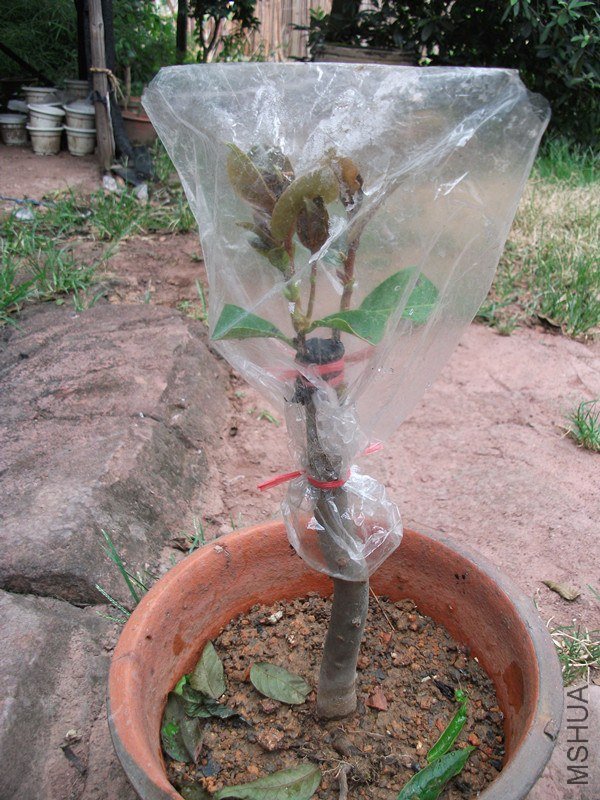 DSCF6507_����.jpg