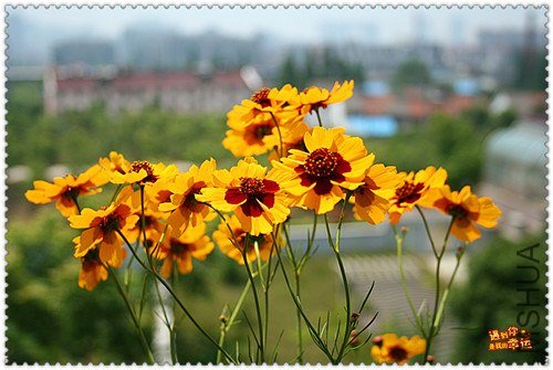 ��Ƭ 048_����.jpg