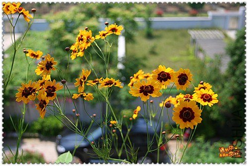 ��Ƭ 051_����.jpg