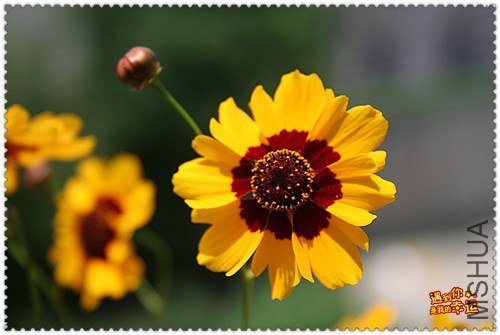 ��Ƭ 058_����.jpg