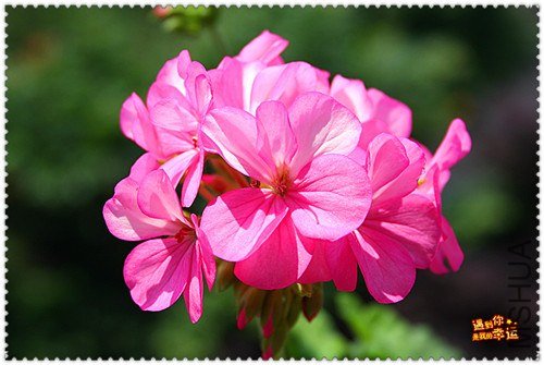 ��Ƭ 038_����.jpg