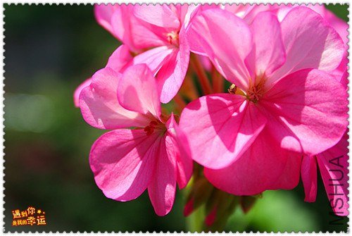 ��Ƭ 041_����.jpg