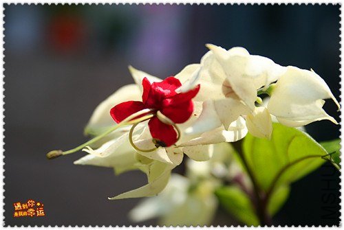 ��Ƭ 024_����.jpg