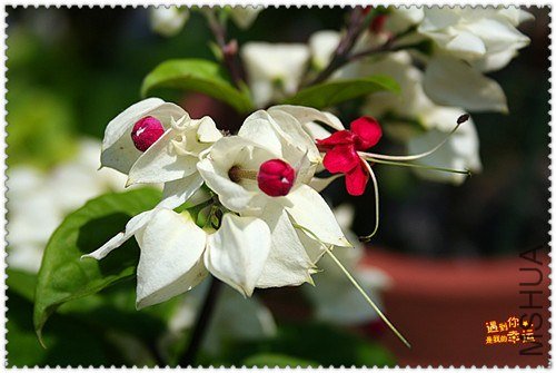 ��Ƭ 028_����.jpg