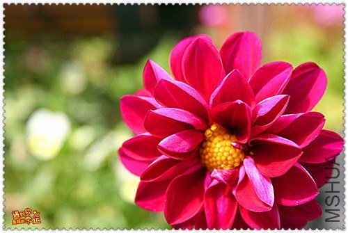 ��Ƭ 048_����.jpg