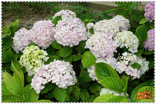 ��Ƭ 093_����.jpg