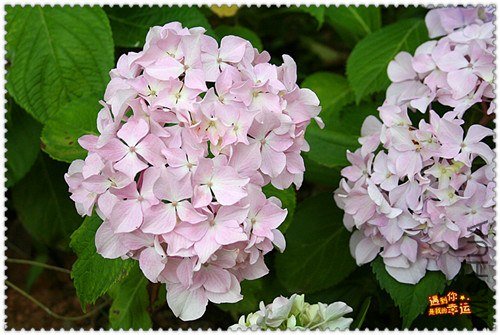 ��Ƭ 095_����.jpg