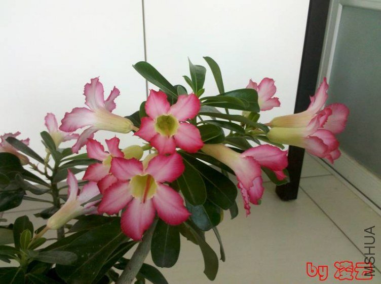 2013-07-16_09-01-14_684.jpg