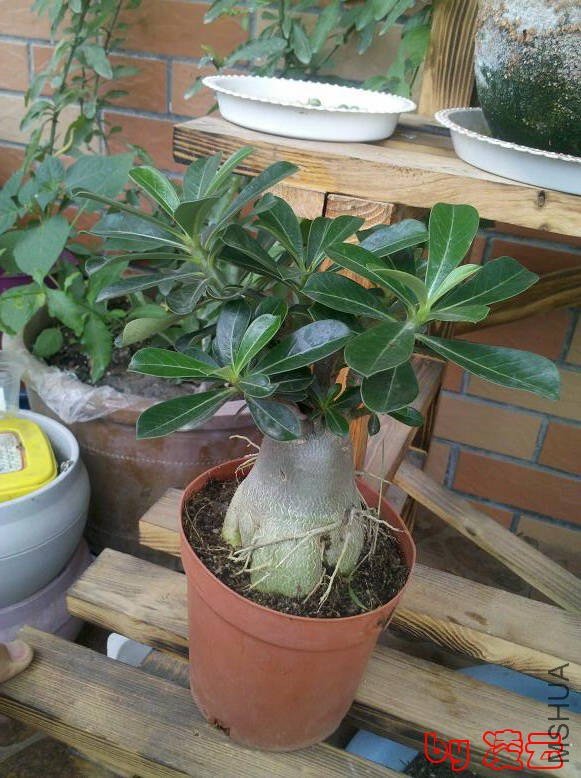 2012-05-08_12-18-54_784.jpg