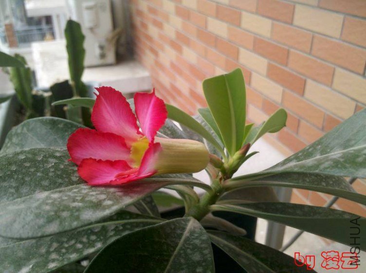 2012-09-07_13-14-34_331.jpg