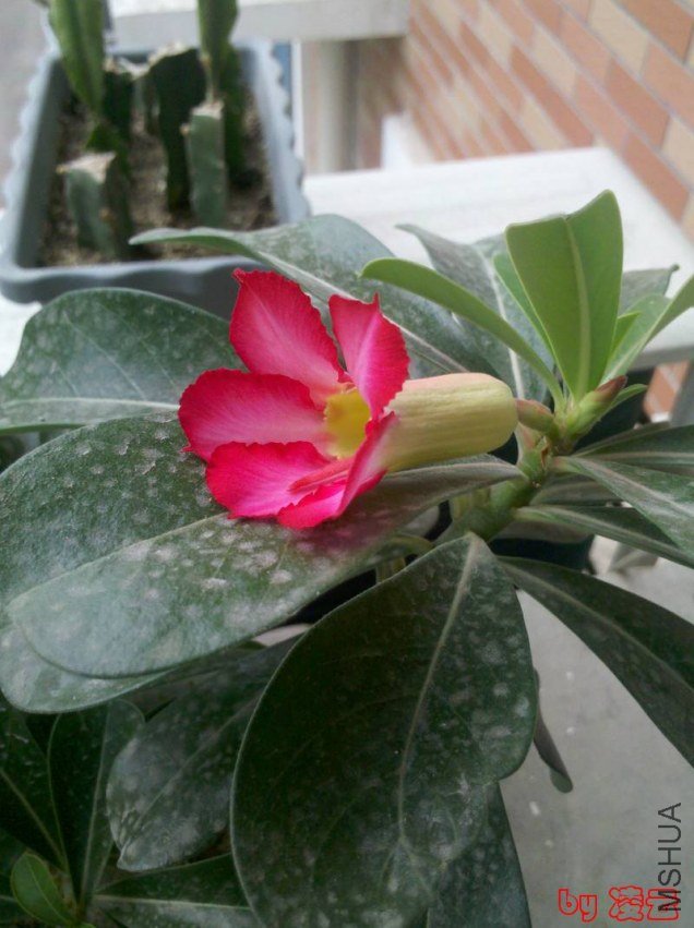 2012-09-07_13-14-18_827.jpg