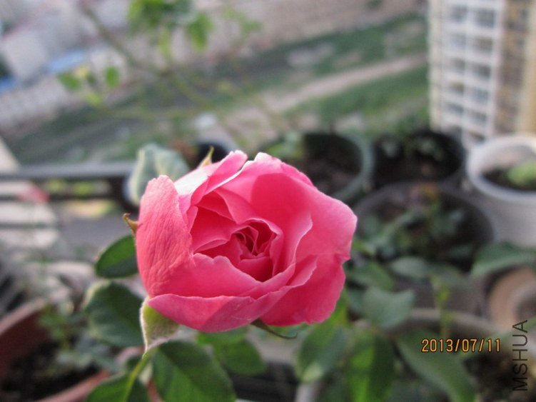 IMG_1914.JPG